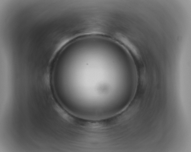 X0000113641460200909251231