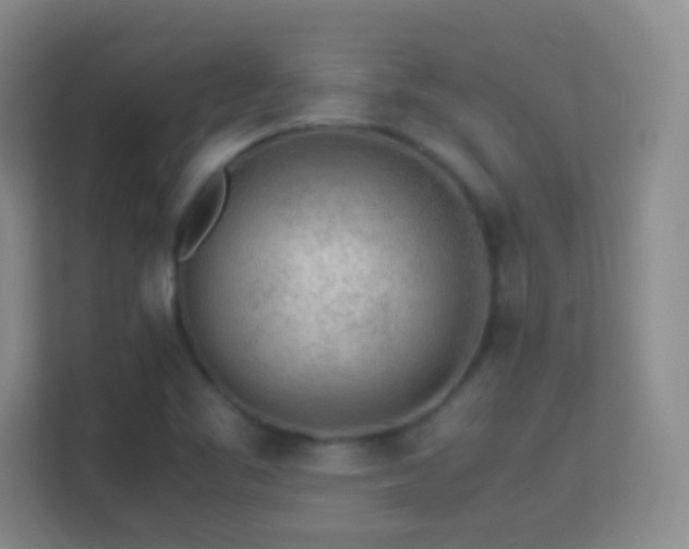 X0000113641461200909251231