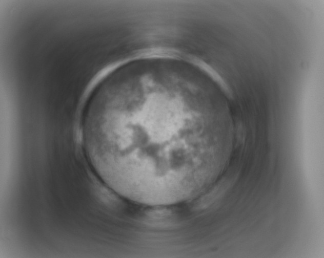 X0000113641462200909251231