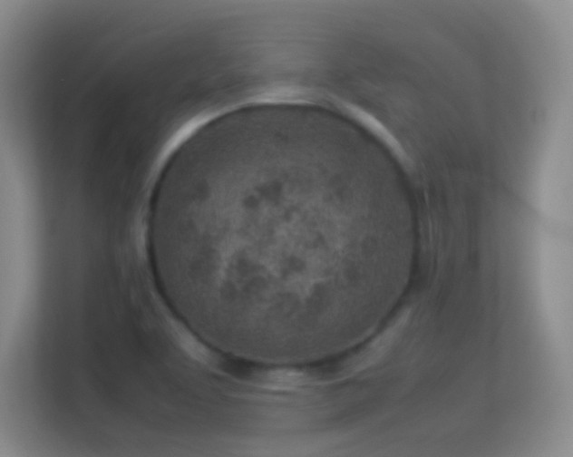 X0000113641463200909251231