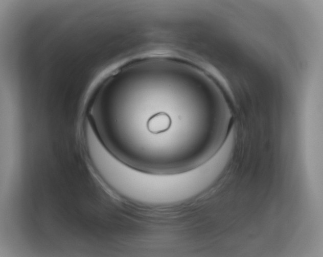 X0000113641464200909251231