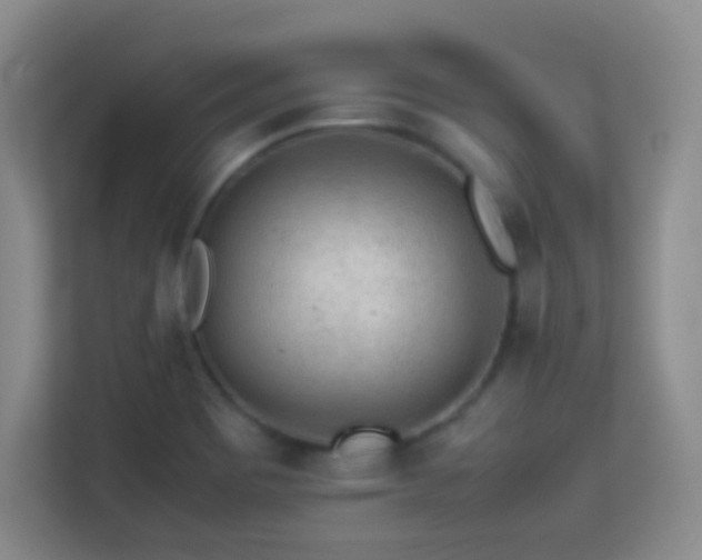 X0000113641465200909251231