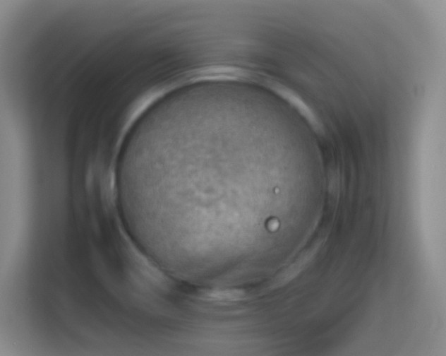 X0000113641466200909251231