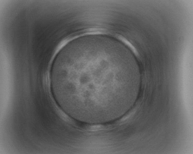 X0000113641467200909251231