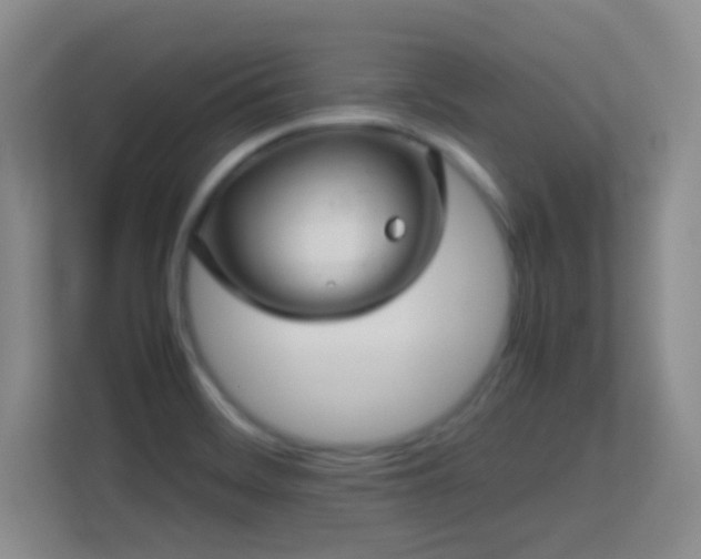 X0000113641468200909251231