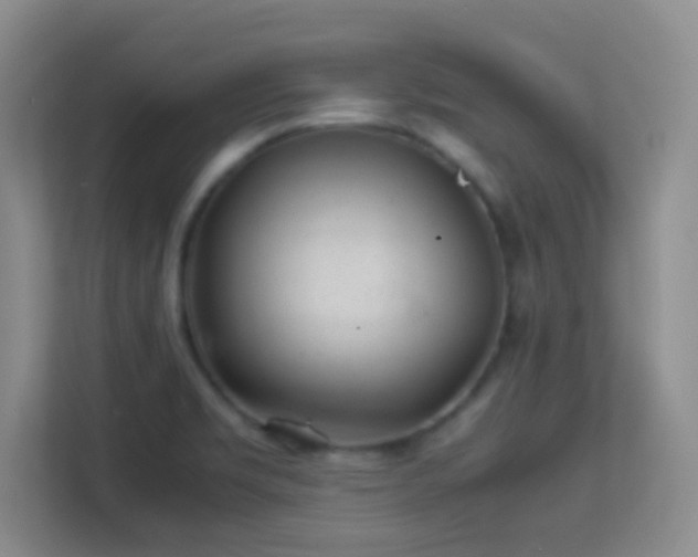 X0000113641469200909251231