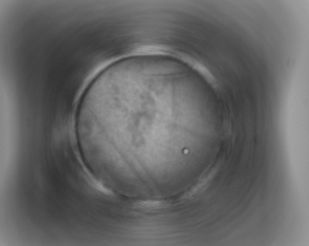 X0000113641470200909251231