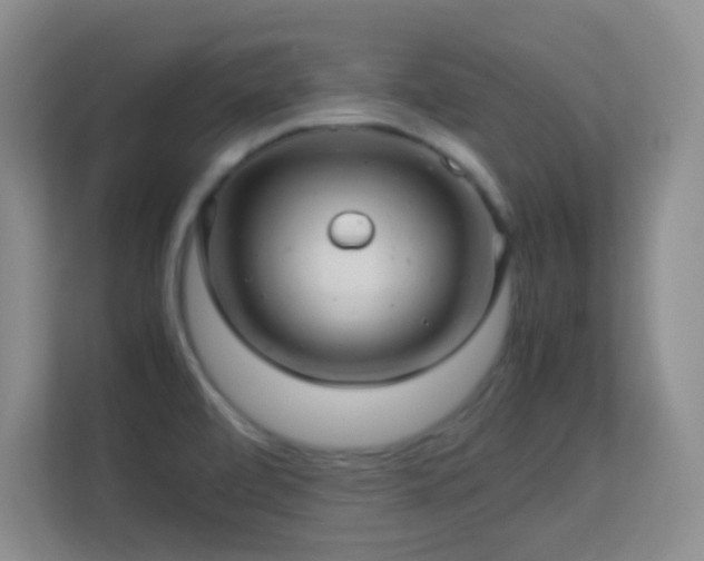 X0000113641472200909251231