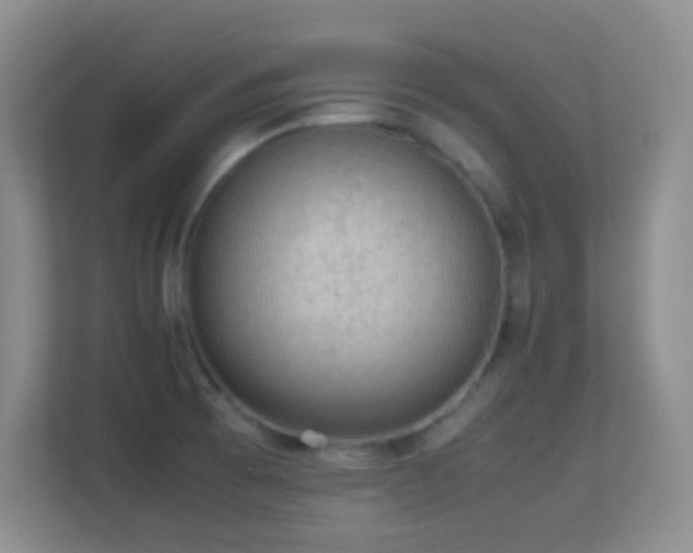 X0000113641473200909251231