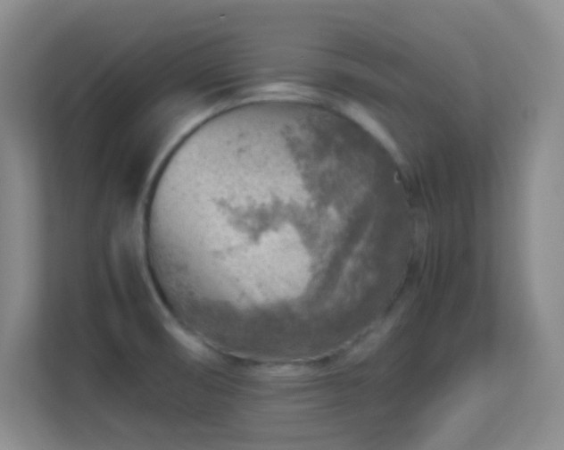 X0000113641474200909251231