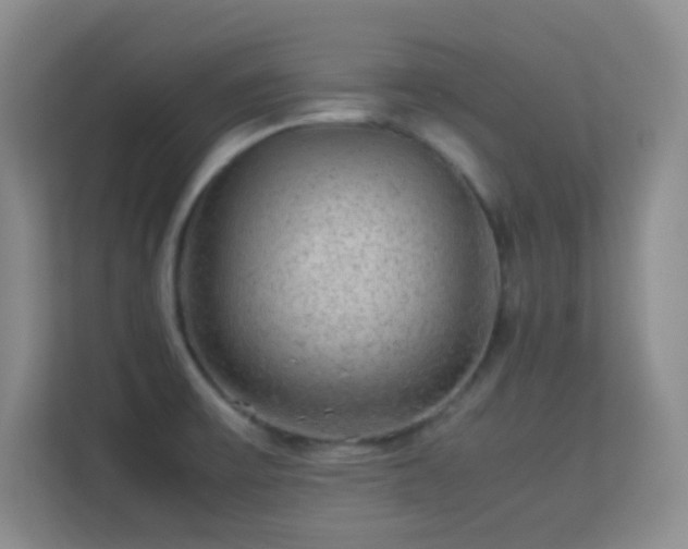 X0000113641475200909251231