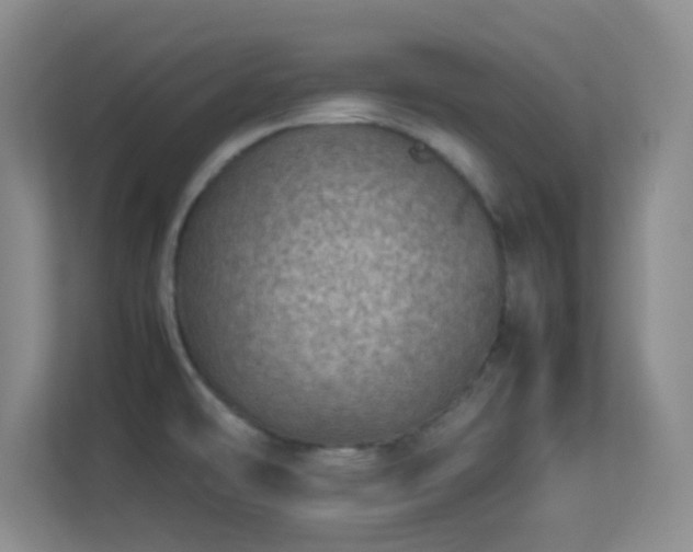 X0000113641478200909251231