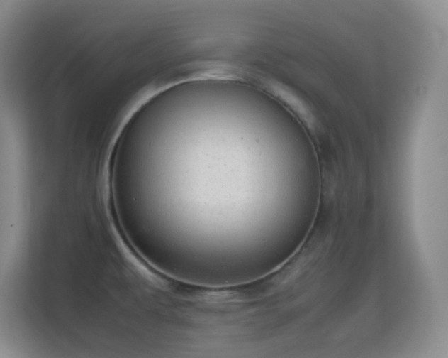 X0000113641479200909251231