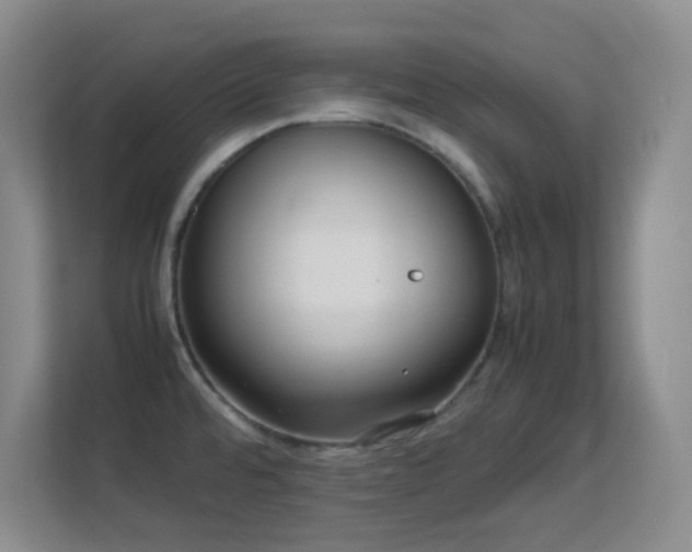 X0000113641480200909251231