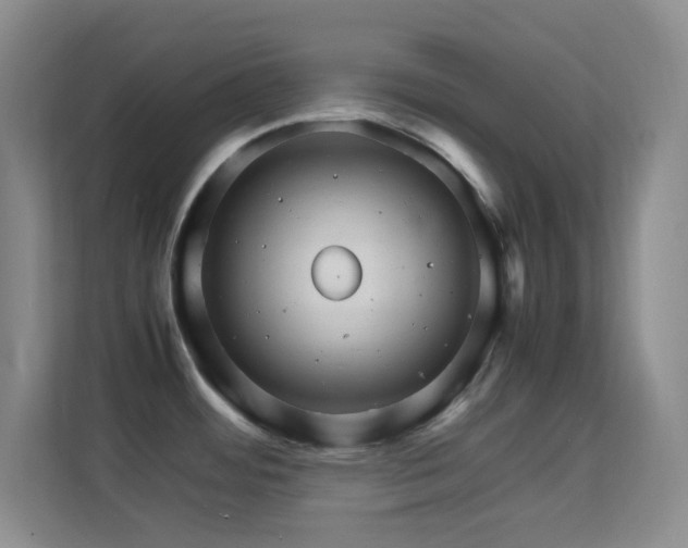 X0000113641484200909251231