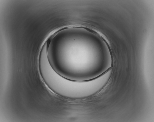 X0000113641485200909251231