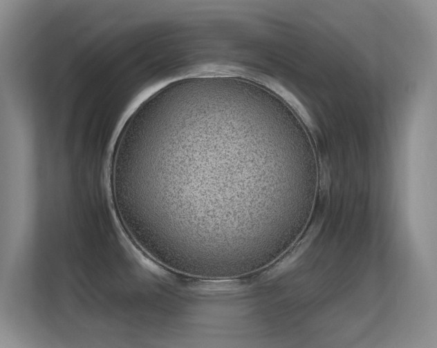 X0000113641486200909251231