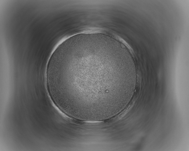 X0000113641487200909251231