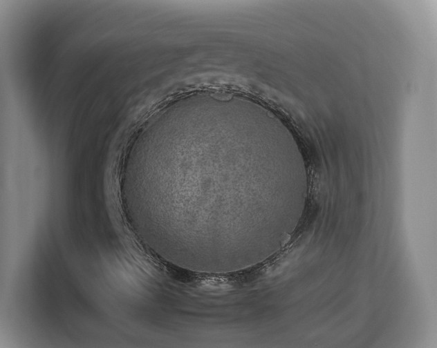 X0000113641489200909251230