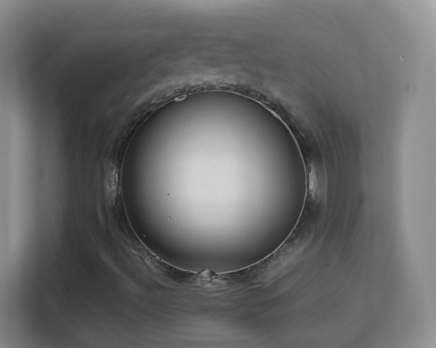 X0000113641492200909251230