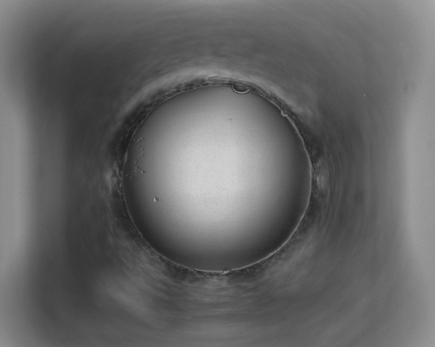 X0000113641495200909251230