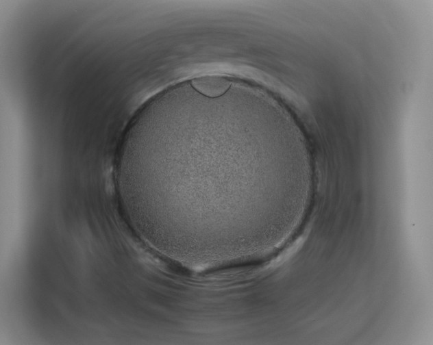 X0000113641497200909251230