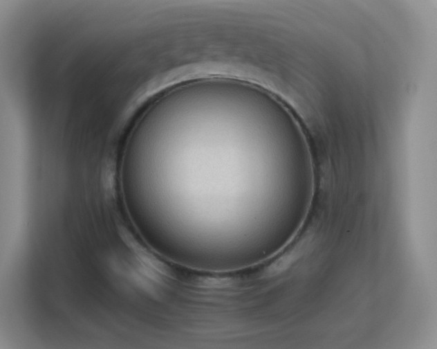 X0000113641499200909251230