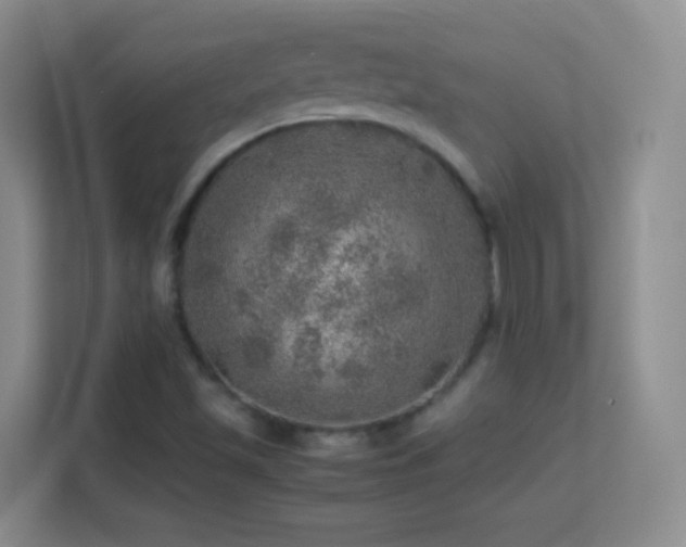 X0000113641501200909251230