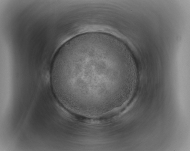 X0000113641505200909251230