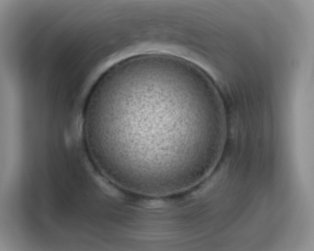 X0000113641507200909251230