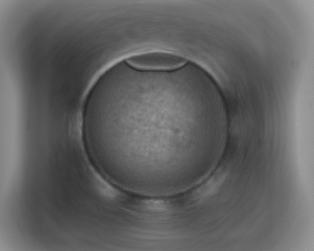 X0000113641508200909251230