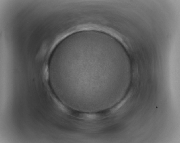 X0000113641509200909251230