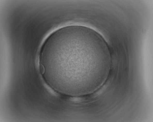 X0000113641511200909251230