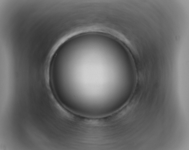 X0000113641512200909251230