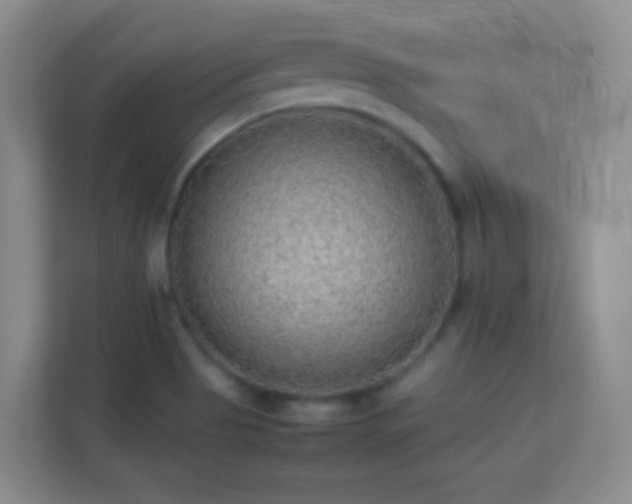 X0000113641513200909251230