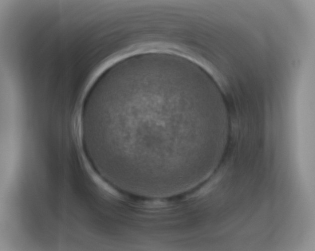 X0000113641515200909251230