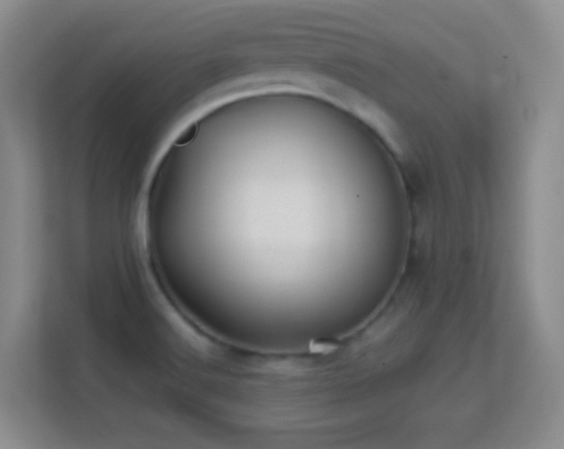 X0000113641516200909251230