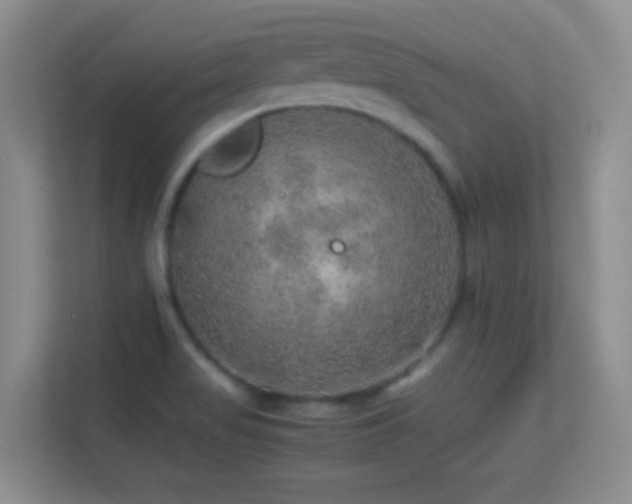 X0000113641517200909251230