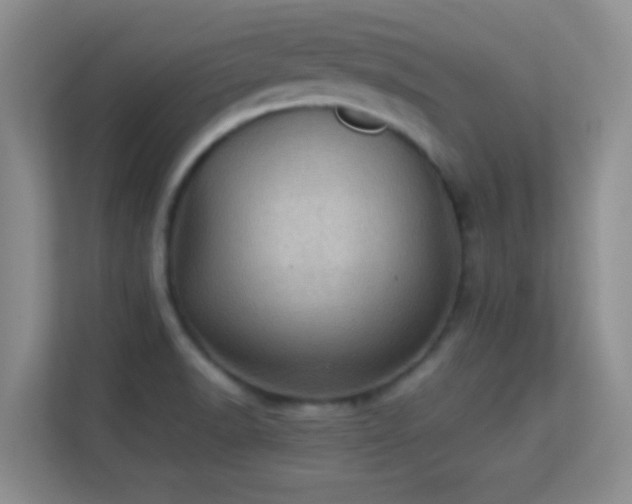 X0000113641518200909251230