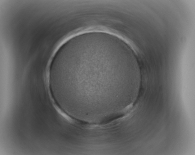 X0000113641519200909251230