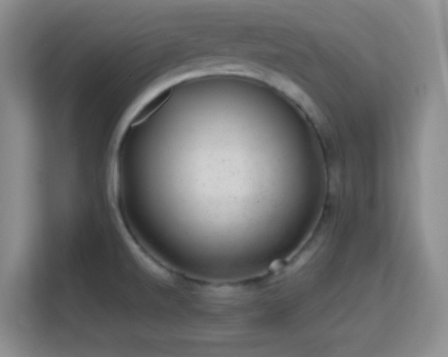 X0000113641520200909251230