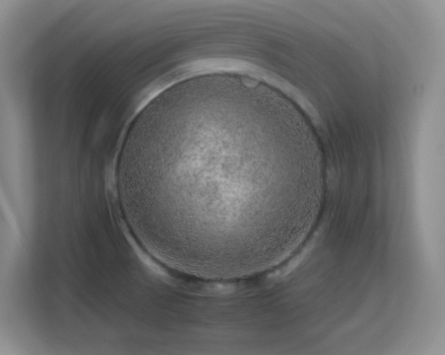 X0000113641521200909251230