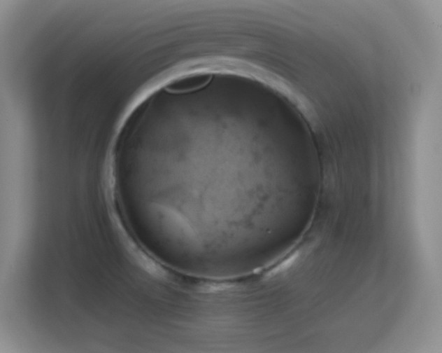 X0000113641522200909251230