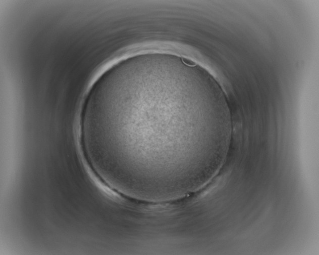 X0000113641523200909251230