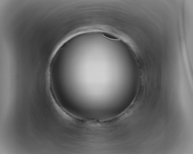 X0000113641524200909251230