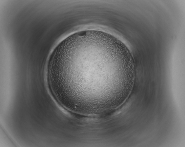 X0000113641525200909251230