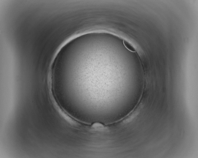 X0000113641526200909251230