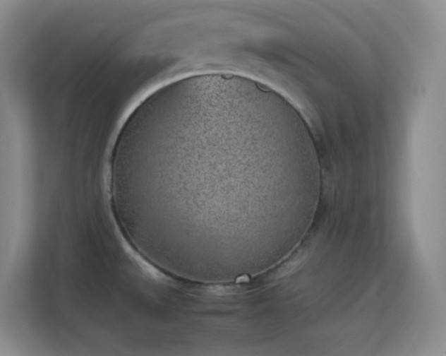 X0000113641527200909251230