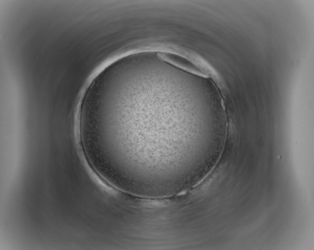 X0000113641528200909251231