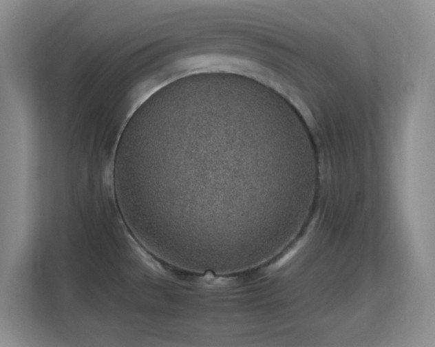 X0000113641529200909251231